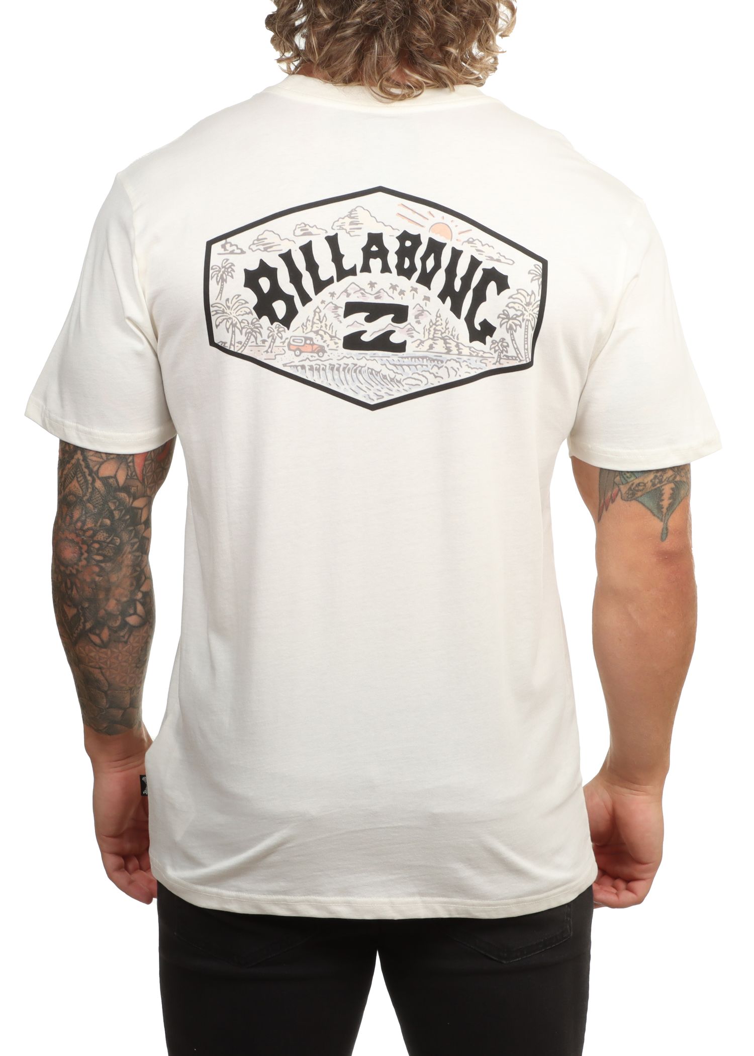 Billabong Scenic Arch Adiv Premium Tee White