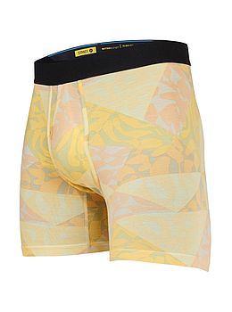 Stance Tri Angular Wholester Boxers Multi