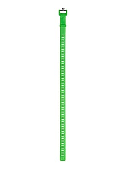 Black Diamond 25 Inch Ski Straps Envy Green