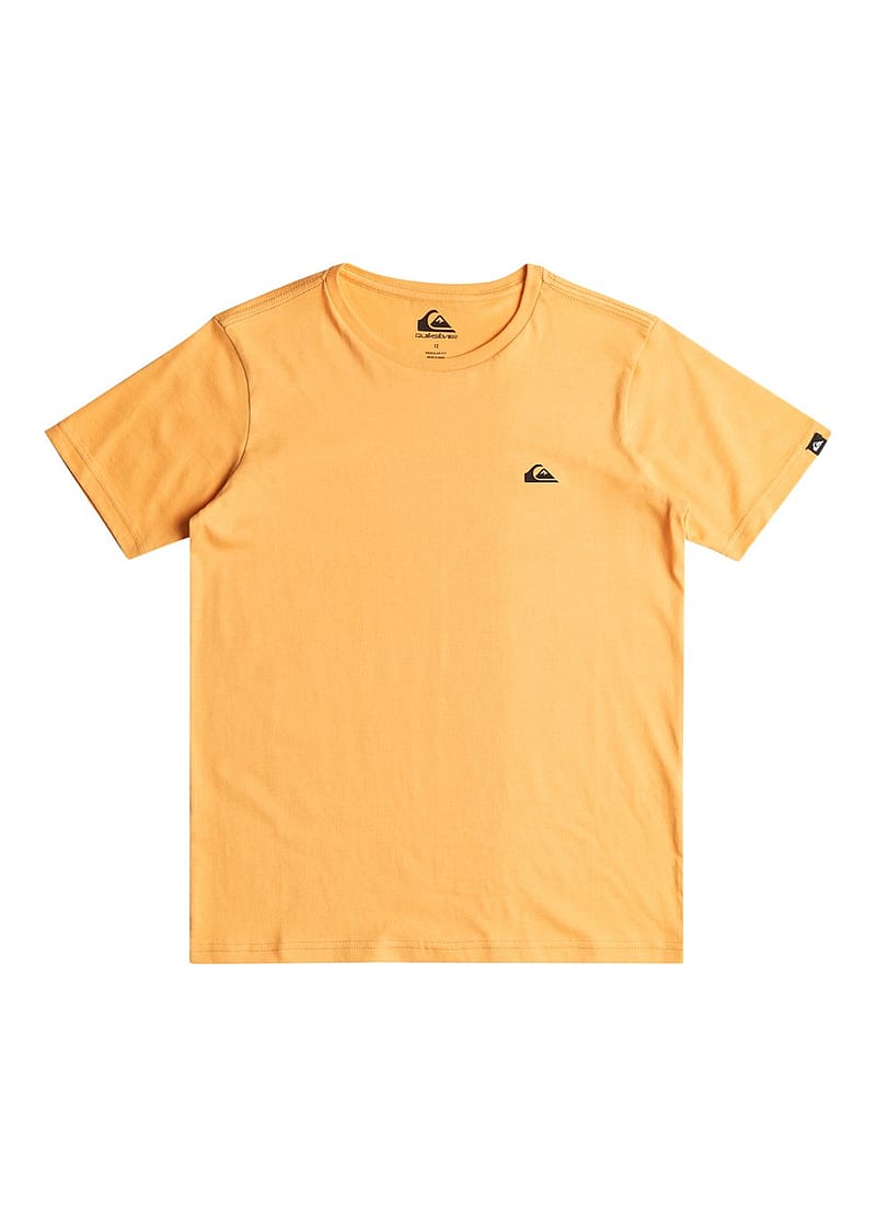 Quiksilver Boys Basic Tee Tangerine