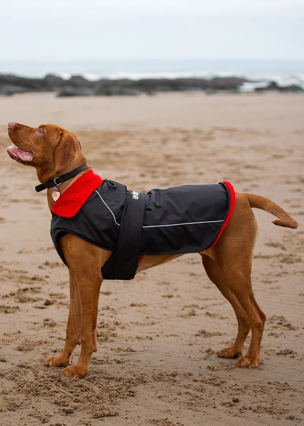 Dryrobe Dog Waterproof Dog Coat Black/Red