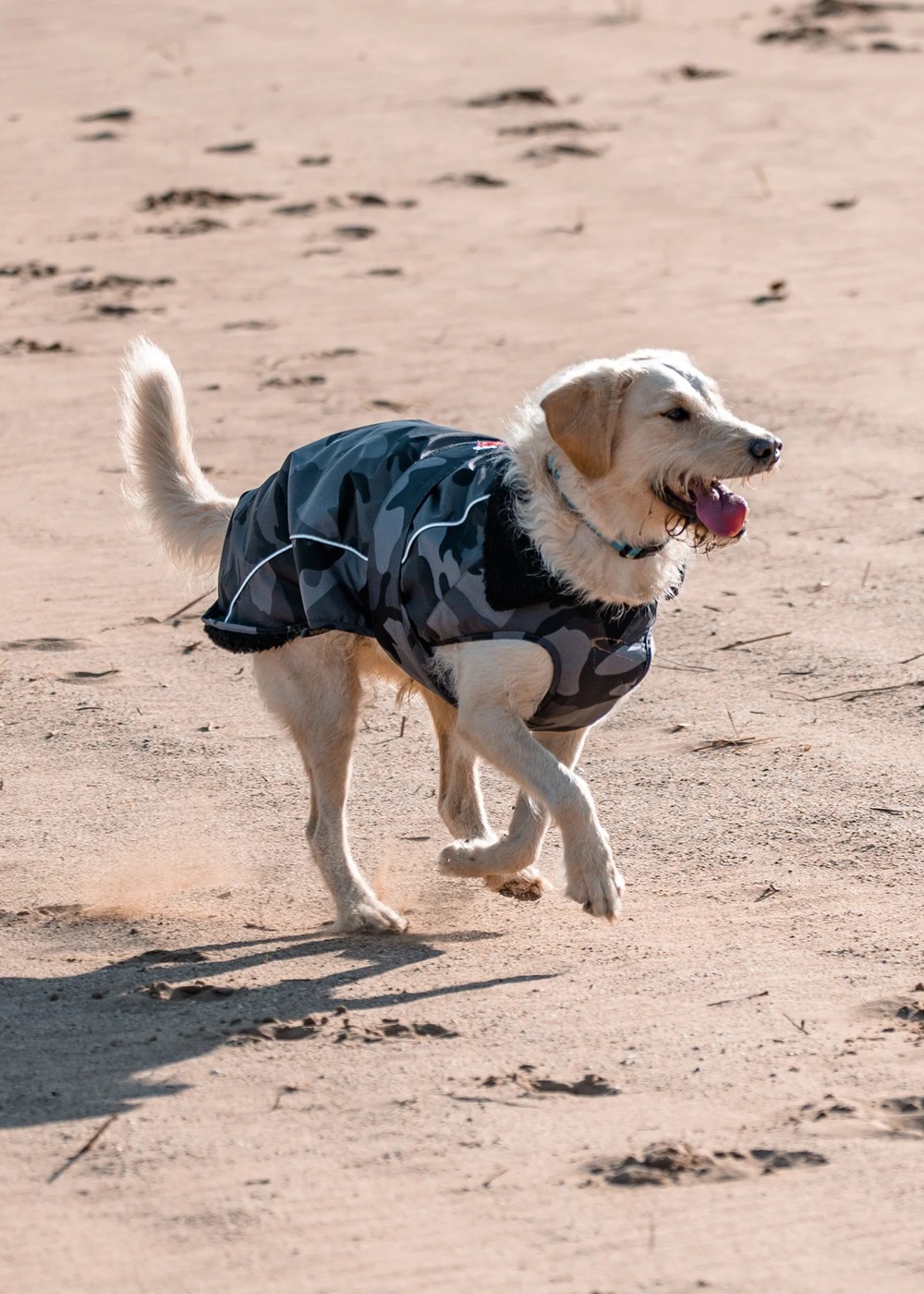 Dryrobe Dog Waterproof Dog Coat Black Camo/Black