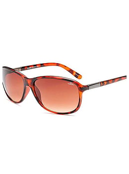Bloc Bee Sunglasses Shiny Tort/Brown Grad