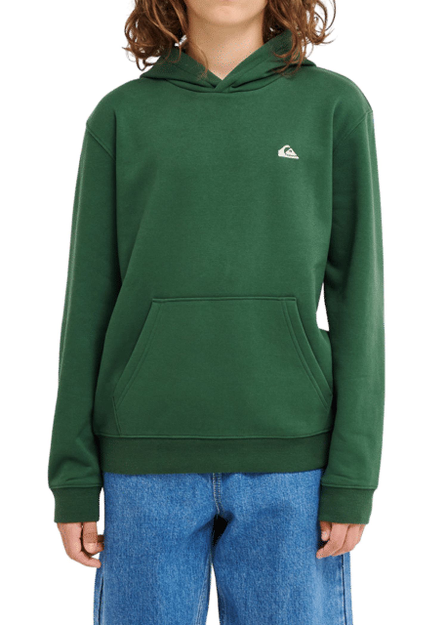 Quiksilver Boys Basic Hoodie Forest