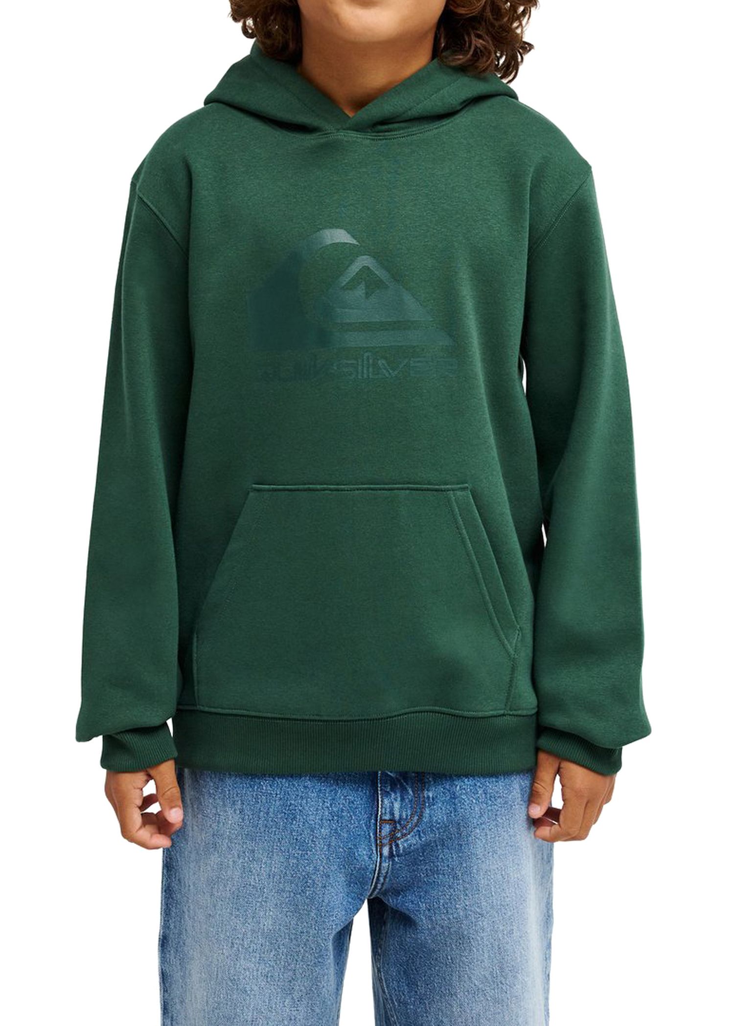 Quiksilver Boys Comp Logo Hoodie Forest