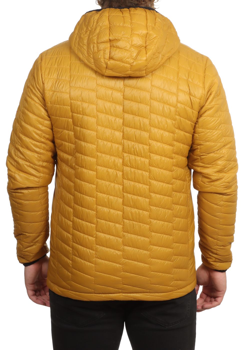 Florence Marine X Lava PrimaLoft Jacket Mustard
