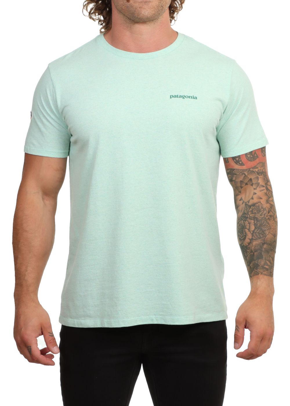 Patagonia Fitz Roy Icon ResponsibiliTee Green