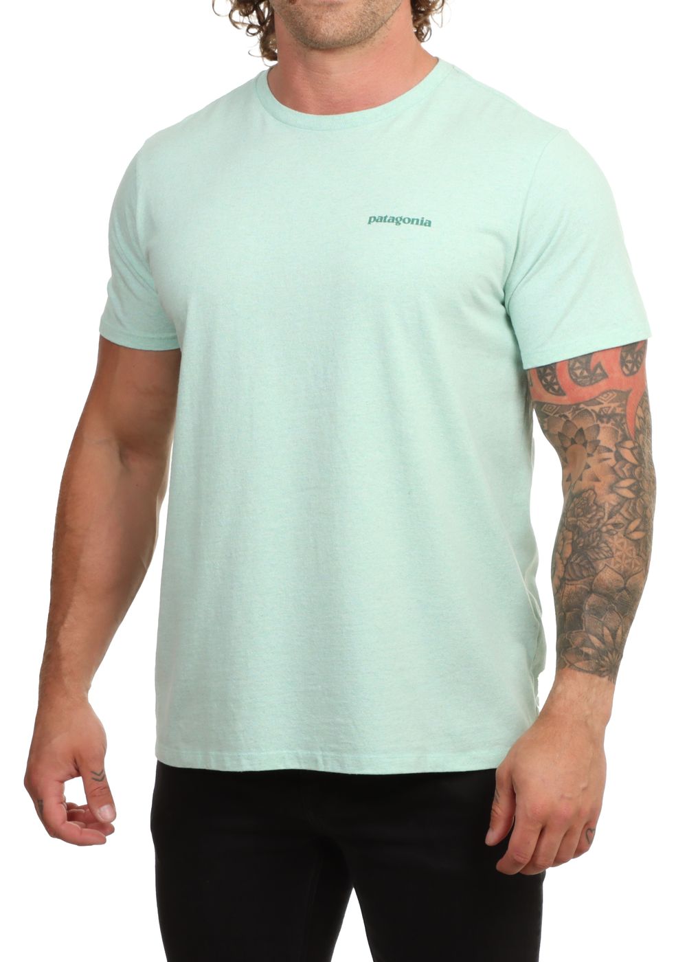 Patagonia Fitz Roy Icon ResponsibiliTee Green