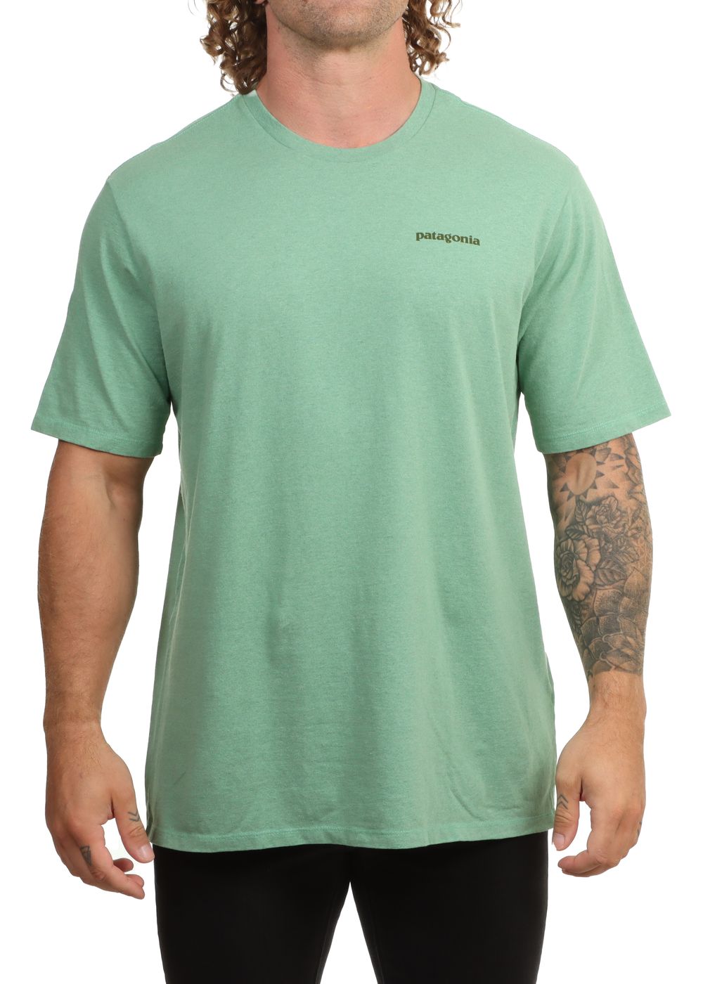 Patagonia Fitz Roy Icon ResponsibiliTee Green
