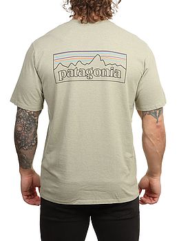 Patagonia P6 Logo ResponsibiliTee Gumtree Green