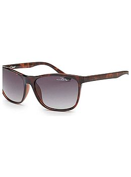 Bloc Coast Sunglasses Shiny Tort/Polarised Grey