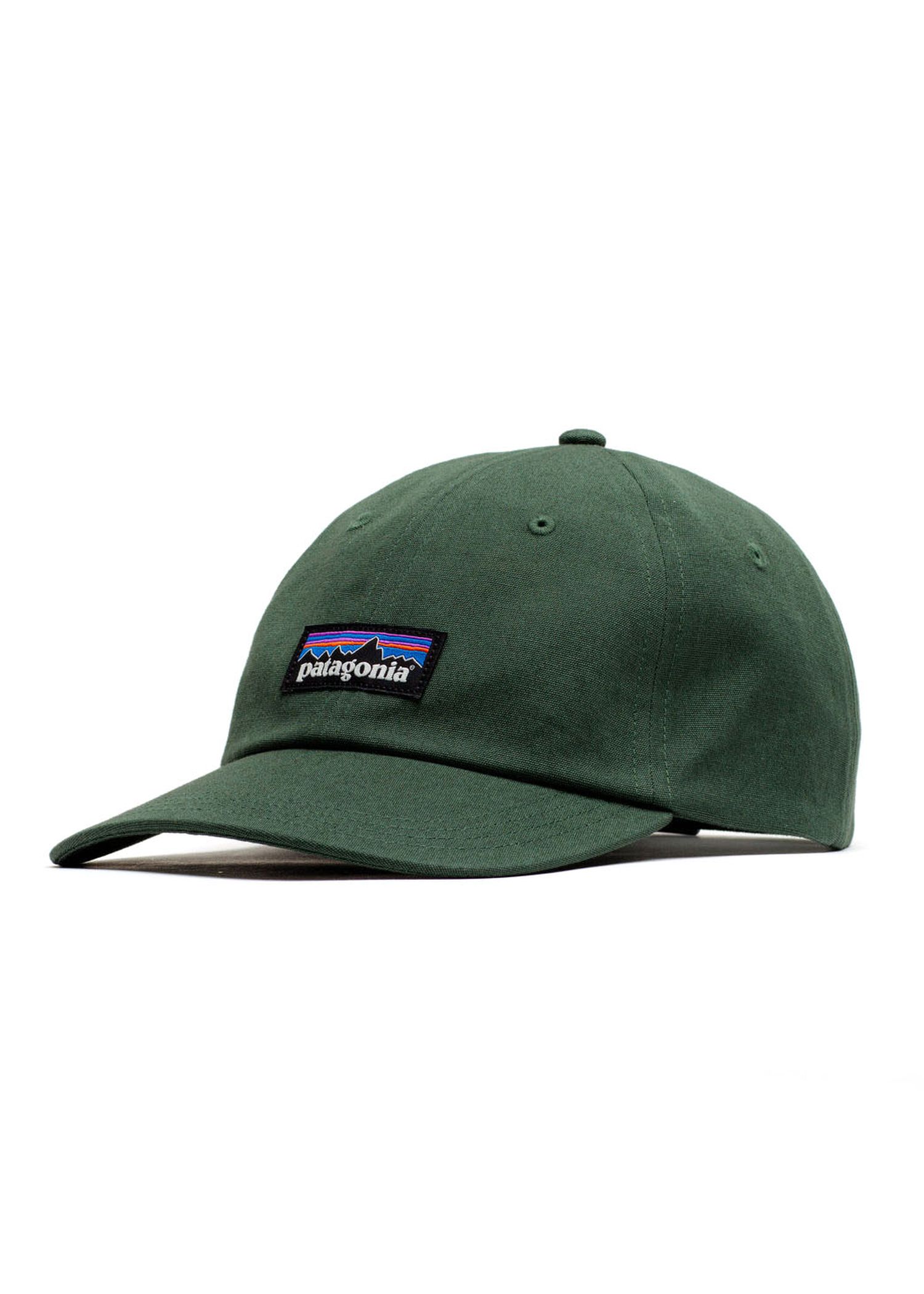 Patagonia P6 Label Trad Cap Canopy Green
