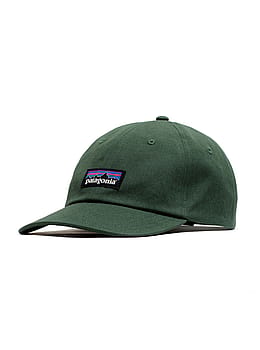 Patagonia P6 Label Trad Cap Canopy Green
