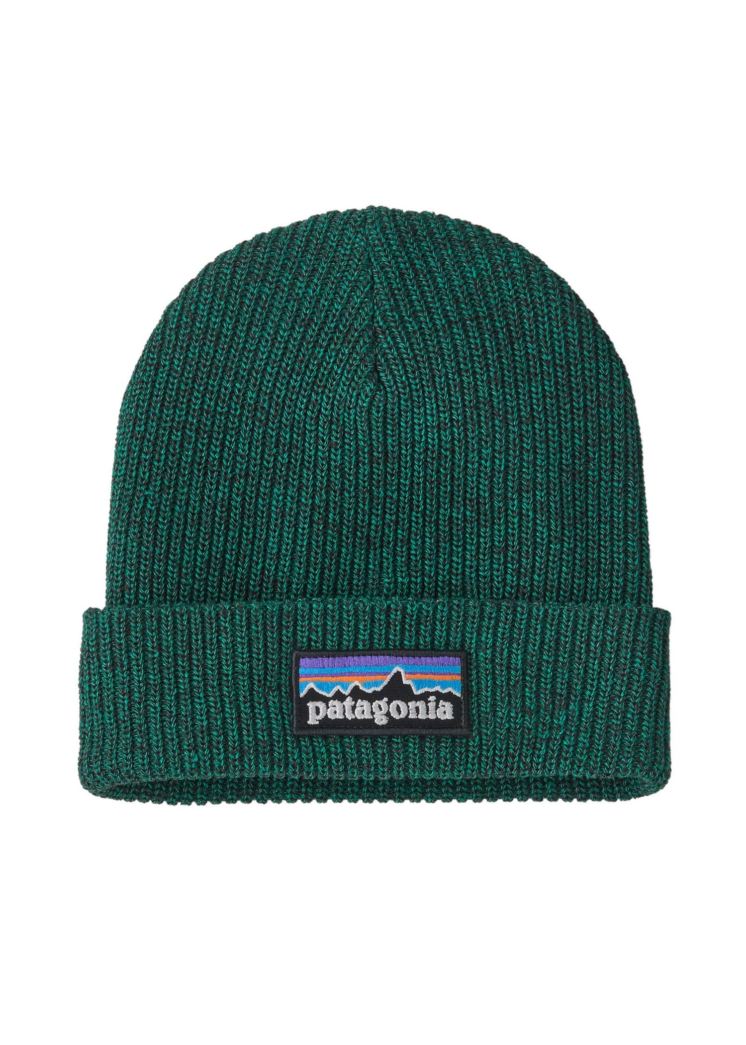 Patagonia Kids P6 Logo Beanie Solo Teal