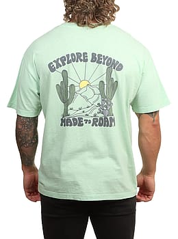 Passenger Explore Beyond Tee Seafoam Marl