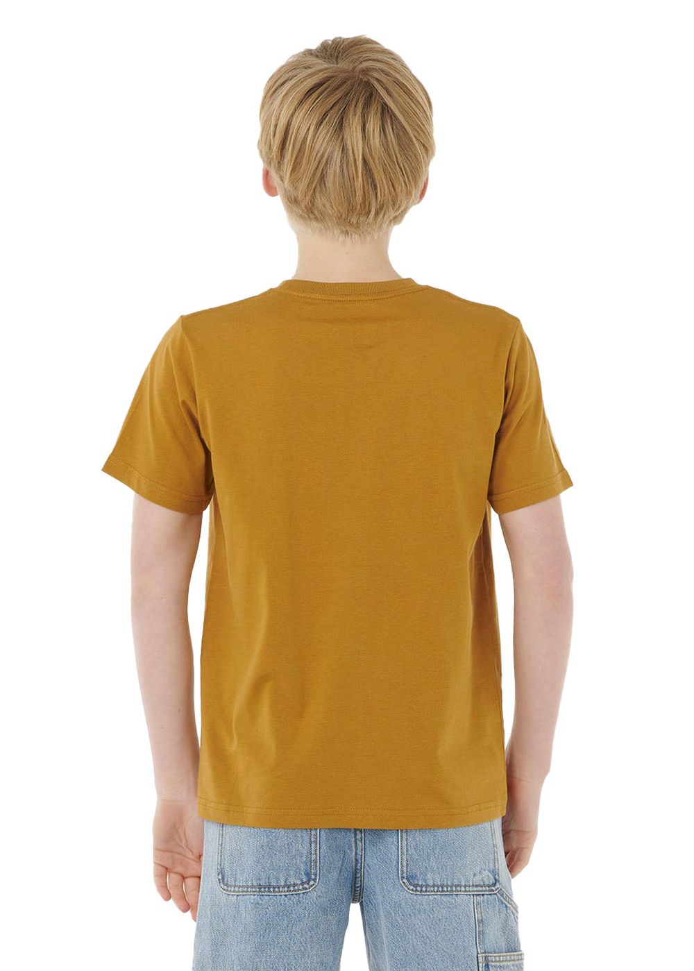 Ripcurl Boys Surf Revival Logo Tee Bronze