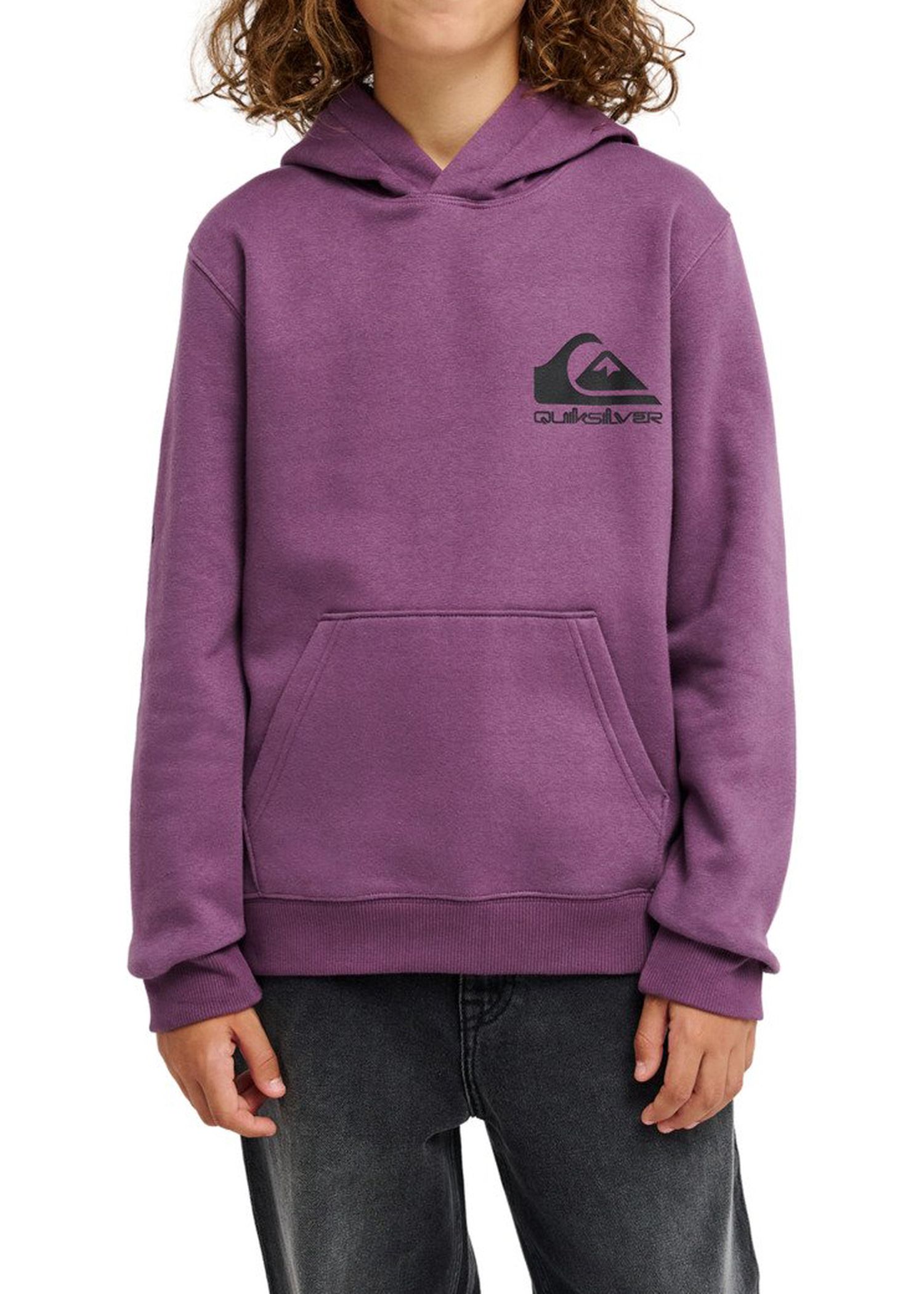 Quiksilver Boys Omni Logo Hoodie Grape Jam