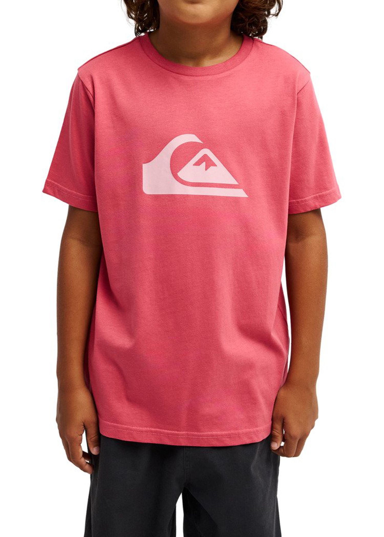 Quiksilver Boys EV Comp Logo Tee Slate Rose