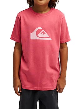 Quiksilver Boys EV Comp Logo Tee Slate Rose
