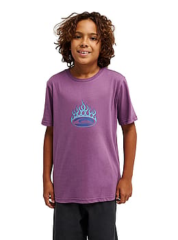 Quiksilver Boys Flaming Tee Grape Jam
