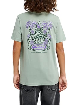 Quiksilver Boys Fusion Tee Iceberg Green
