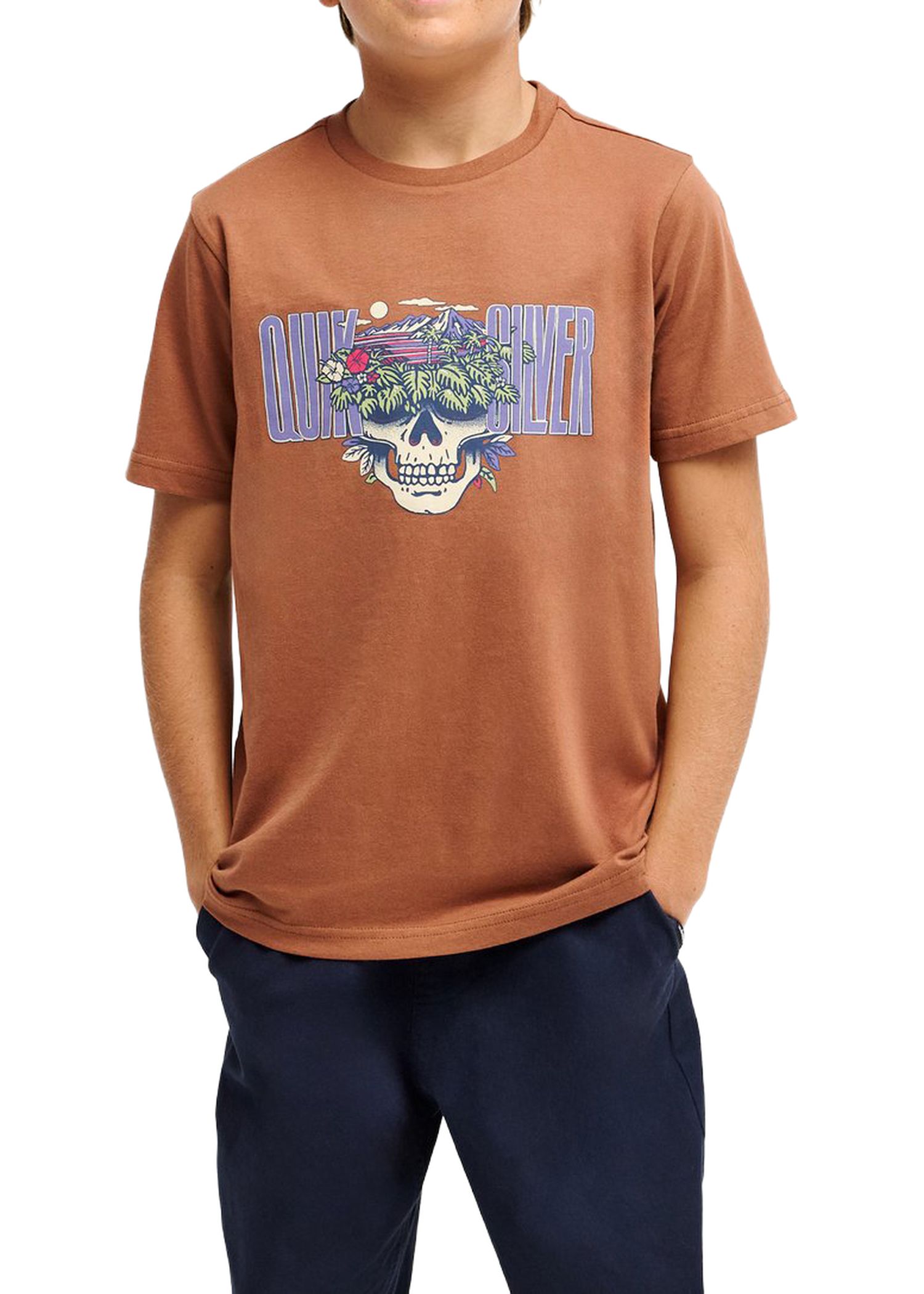 Quiksilver Boys Paradise Point Tee Rawhide