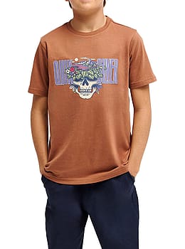 Quiksilver Boys Paradise Point Tee Rawhide