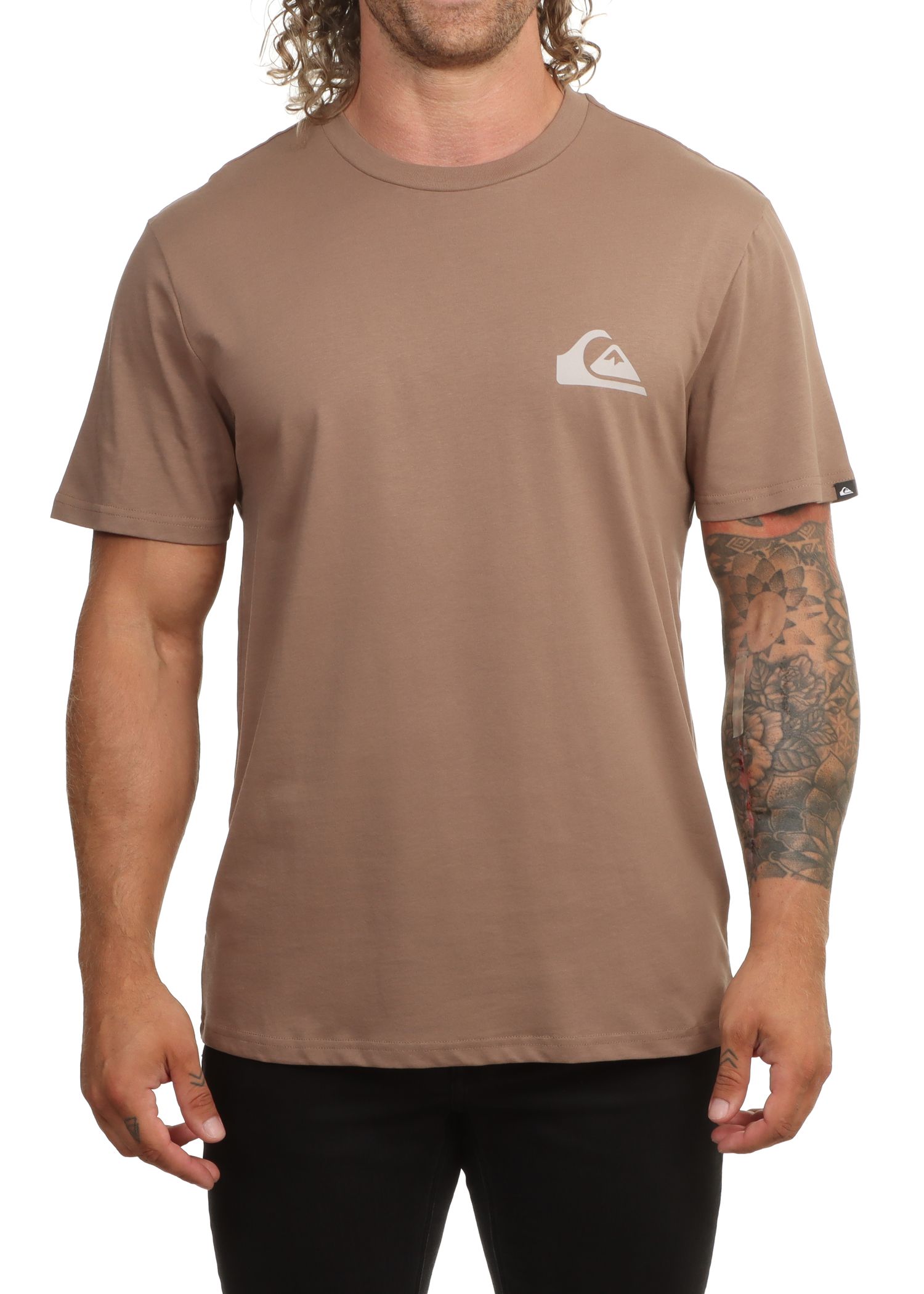 Quiksilver EV Mini Logo Tee Pine Bark