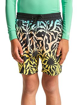Billabong Boys Radiant Volley Shorts Black