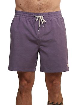 Billabong Every Other Day Volley Shorts Grape