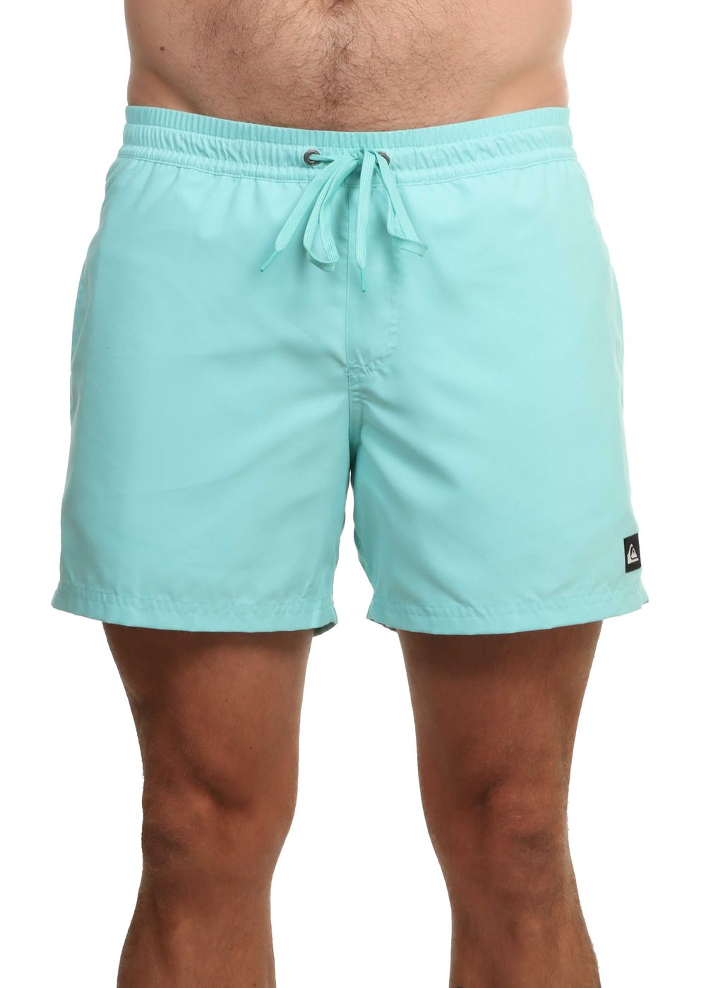 Quiksilver Everyday Solid Volley Shorts Aqua