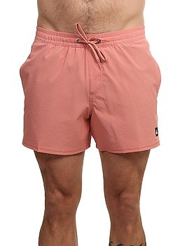 Quiksilver Everyday Flex Volley Shorts Desert
