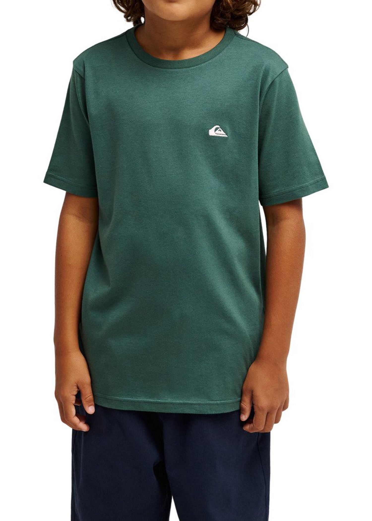 Quiksilver Boys Basic Tee Forest
