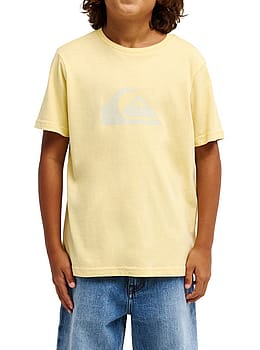 Quiksilver Boys EV Comp Logo Tee Straw