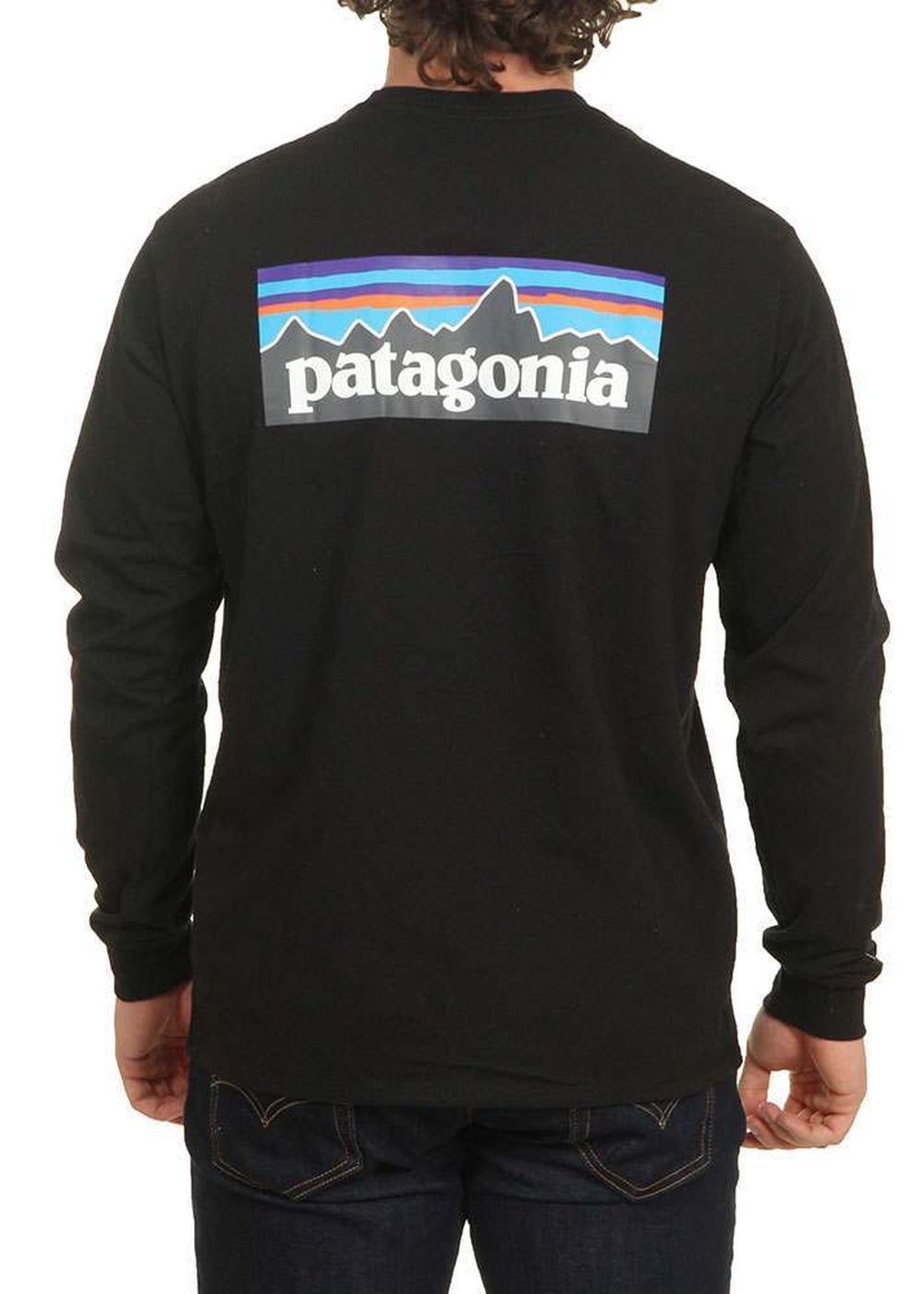 patagonia long sleeve logo t shirt