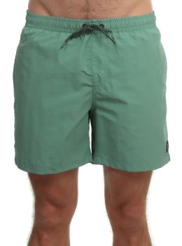 Protest Faster Volley Shorts Frosty Green
