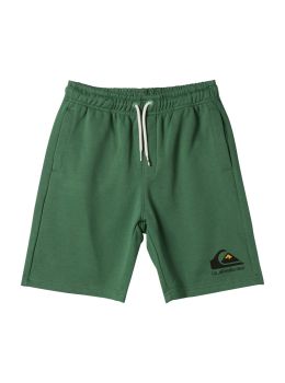 Quiksilver Boys Easy Day Shorts Spruce