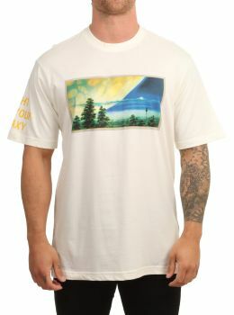 Element SWXE Nature Tee Off White