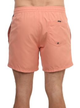 Quiksilver Everyday Volley Shorts Canyon Clay