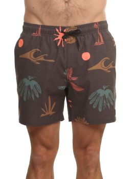 Ripcurl Party Pack Volley Shorts Multicolour
