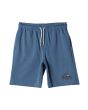 Quiksilver Boys Easy Day Shorts Blue Shadow