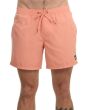 Quiksilver Everyday Volley Shorts Canyon Clay