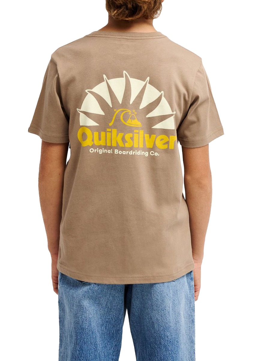 Quiksilver Boys Rays Tee Pine Bark
